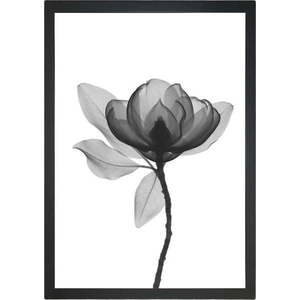 Plakát 24x29 cm Harmony Flower – Tablo Center obraz