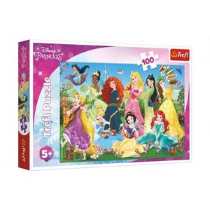 Puzzle Půvabné princezny/Disney 100 dílků 41x27, 5cm v krabici 29x19x4cm obraz
