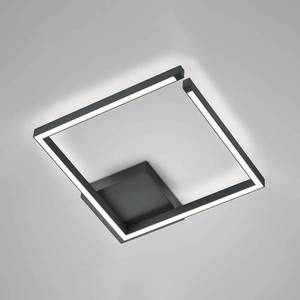 Knapstein Stropní svítidlo Yoko LED, nahoru/dolů, 40x40 cm, černé obraz
