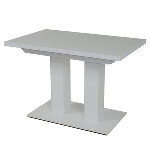 Jídelní stůl SENWE 1 bílá/120 cm obraz