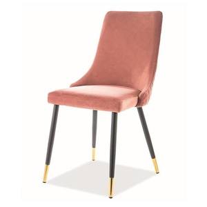 Jídelní židle PAONU 2 starorůžová/černá/zlatá obraz