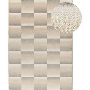 Šedo-krémový koberec 160x230 cm Sensation – Universal obraz