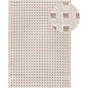 Krémový koberec 120x170 cm Diena – Universal obraz
