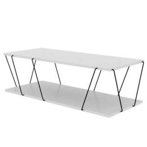 Konferenční stolek LABRANDA bílá/černá obraz