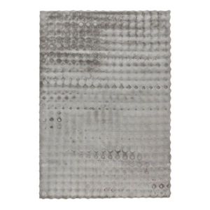 KOŽEŠINOVÝ KOBEREC, 200/290 cm, barvy stříbra obraz