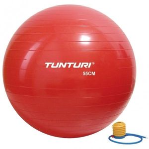 Tunturi | Gymnastický míč TUNTURI 55 cm, červený | 15108250 obraz