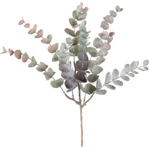 DEKORAČNÍ VĚTVIČKA Eukalyptuszweig I -Paz- obraz