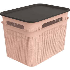 Světle růžové plastové úložné boxy s víkem v sadě 2 ks 26, 5x36, 5x26 cm Brisen – Rotho obraz