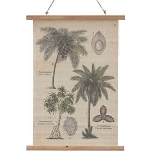 Tapiserie 50x70 cm Palm – Ixia obraz