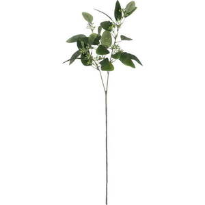 Umělý eukalyptus (výška 59 cm) – Ixia obraz