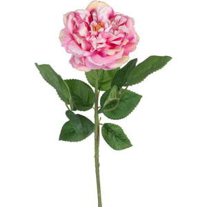 Umělá květina (výška 43 cm) Rose – Ixia obraz