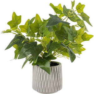 Umělá rostlina (výška 39 cm) Ivy – Ixia obraz