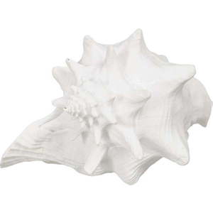 Soška z polyresinu (výška 13 cm) Seashell – Ixia obraz