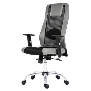 Kancelářská židle HARDING černá/šedá obraz