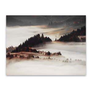 Obraz na plátně Styler Mist, 85 x 113 cm obraz