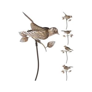 PROHOME - Ptáček zapichovací 80cm různé druhy obraz