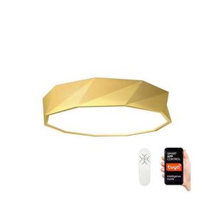 Neo NEO 07132-G60- LED Stropní svítidlo DIAMANTE LED/43W/230V + DO Tuya ZigBee obraz