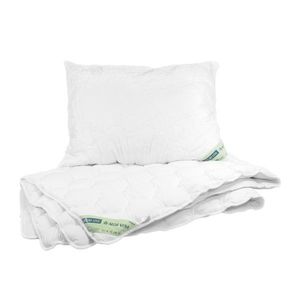 Vetro plus Set přikrývky a polštáře Natur Line - Aloe Vera, Calme 140x200 cm 70x90 cm obraz