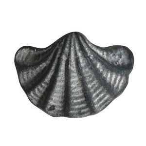 Šedá antik litinová úchytka mušle Shell - 6*4*4, 5 cm 39072900 obraz