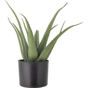 Umělá rostlina (výška 61 cm) Aloe – Bloomingville obraz