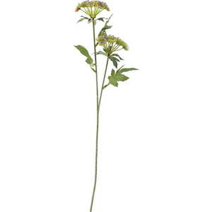 Umělá rostlina (výška 49 cm) Throatwort – Bloomingville obraz