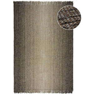 Šedý koberec 200x290 cm – Flair Rugs obraz