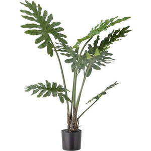 Umělá květina (výška 84 cm) Philodendron – Bloomingville obraz