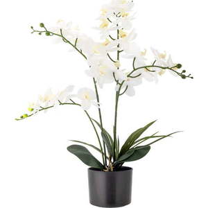 Umělá květina (výška 84 cm) Orchid – Bloomingville obraz