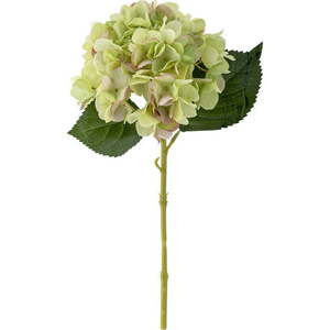 Umělá květina (výška 36 cm) Hydrangea – Bloomingville obraz