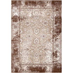 Hnědý koberec 160x230 cm Terno Brown – FD obraz