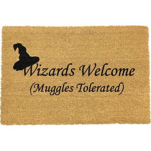 Rohožka z přírodního kokosového vlákna Artsy Doormats Wizards Welcome, 40 x 60 cm obraz