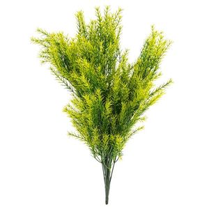 Umělý svazek Asparagus, 53 cm obraz