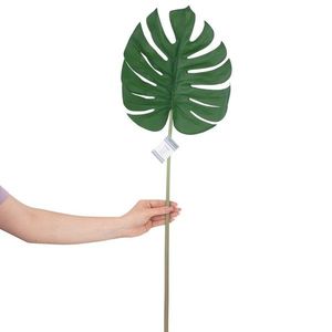 Umělá Rostlina Monstera obraz