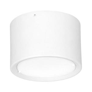 LED Stropní svítidlo LED/16W/230V bílá pr. 12 cm obraz