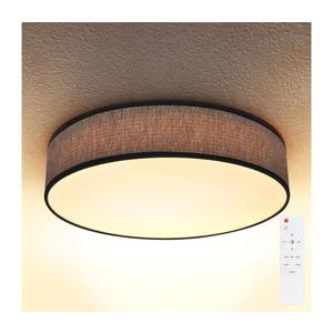 Brilagi Brilagi - LED Stmívatelné stropní svítidlo ADELA LED/48W/230V 3000-6500K + DO obraz