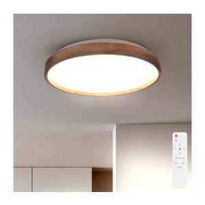 Brilagi Brilagi - LED Stmívatelné stropní svítidlo ALSON LED/48W/230V 3000-6500K + DO obraz