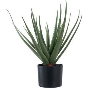 Umělá rostlina (výška 51 cm) Aloe Vera – House Nordic obraz