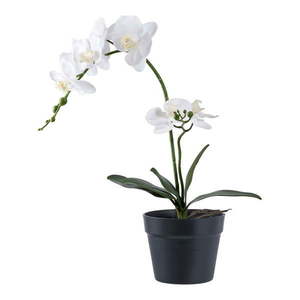 Umělá květina (výška 47 cm) Orchid – House Nordic obraz