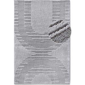 Šedý koberec 120x170 cm Bartoux Light Grey – Elle Decoration obraz