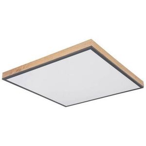 Globo LED PANEL, 59/59/6, 5 cm obraz