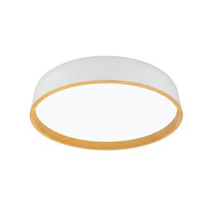 XXXL STROPNÍ LED SVÍTIDLO, 40/8 cm obraz