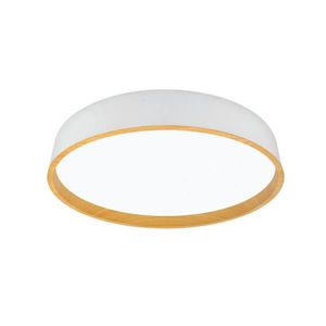 XXXL STROPNÍ LED SVÍTIDLO, 50/8 cm obraz