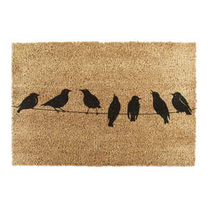 Rohožka z kokosového vlákna 60x90 cm Birds On a Wire – Artsy Doormats obraz