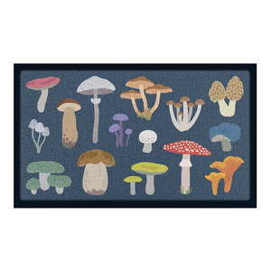 Rohožka 40x70 cm Mixed Wild Mushroom – Artsy Doormats obraz