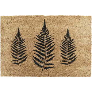 Rohožka z kokosového vlákna 40x60 cm Fern Leaf – Artsy Doormats obraz