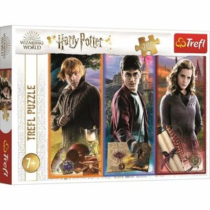 Trefl Puzzle Harry Potter Ve světě magie a kouzel, 200 dílků obraz