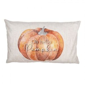 Béžovo-oranžový povlak na polštář s dýní Pumpkin Patch - 30*50 cm PPS36-1 obraz