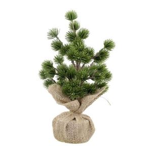 Zelený vánoční cedrový stromek v jutě Fleur Cedar Tree - 30 cm 39073822 obraz