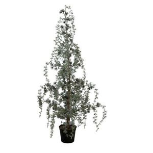 Zelený vánoční borovicový stromek v květináči se světýlky Pine Tree - 120 cm 39100000 obraz