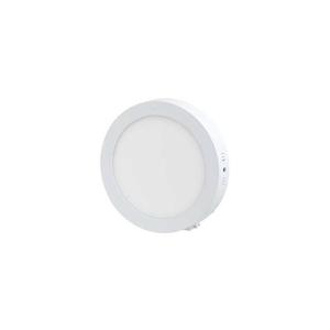 LED Stropní svítidlo LED/12W/230V obraz